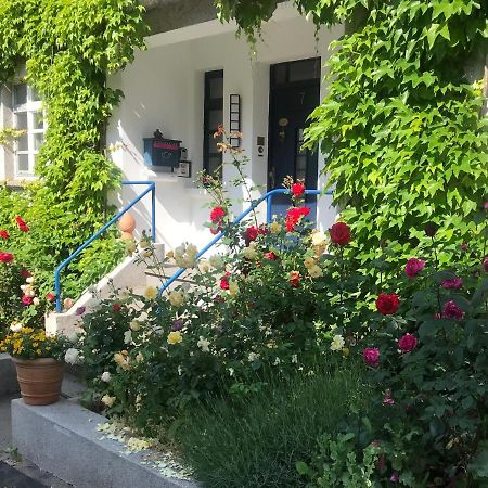 Kunsthaus Mit Gartensauna Dierdorf Exterior foto