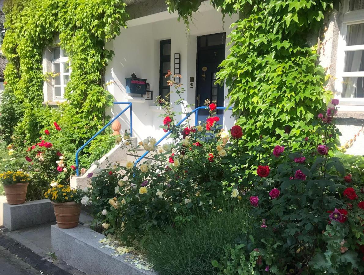 Kunsthaus Mit Gartensauna Dierdorf Exterior foto
